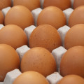 Ceny másla i vajec jsou před Vánocemi nižší než v posledních dvou letech