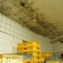 Inspekce zavřela pekárnu v Čelechovicích na Hané