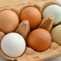 Pekárna Liptovský Hrádok stahuje sušenky z kontaminované vaječné směsi