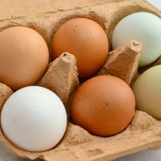 Pekárna Liptovský Hrádok stahuje sušenky z kontaminované vaječné směsi