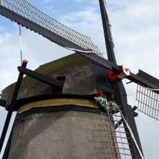 UNESCO chrání nizozemské mlynáře, kteří vyrábějí mouku ve větrných a vodních mlýnech. 