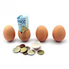 Současná situace na trhu s vaječnými polotovary