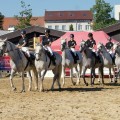 Země Živitelka 2016 – novinky v označování potravin, kvalitní české výrobky a mnoho dalšího